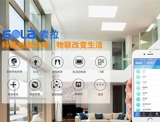 第十三屆全國人大指出“發(fā)展智能產(chǎn)業(yè)，拓展智能生活”